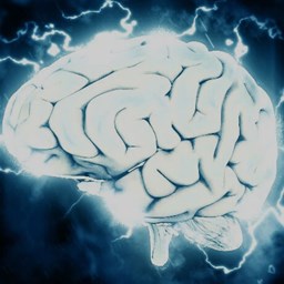 Migraine Pathophysiology Migraine Pathophysiology